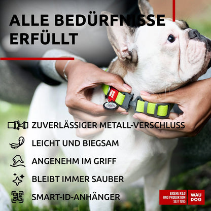 Green Waterproof Adjustable Medium Dog Collar