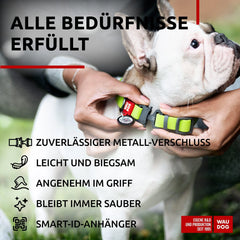 Green Waterproof Adjustable Medium Dog Collar