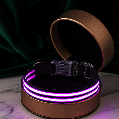 IllumiCollar Rechargeable LED Dog Collar