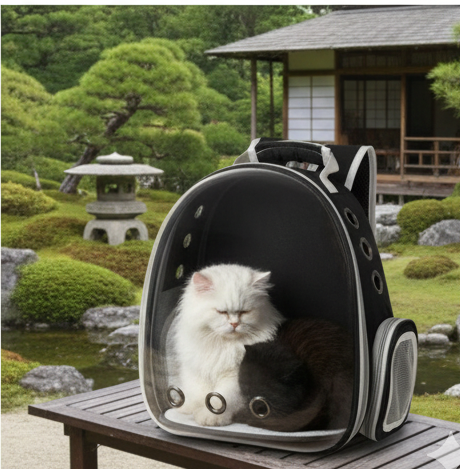 Clear View Cat Backpack