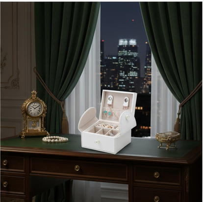 Elegant Earring Jewelry Organizer