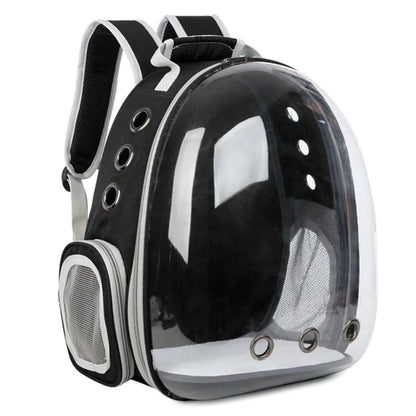 Cat Bubble Backpack for Outdoor Adventures
