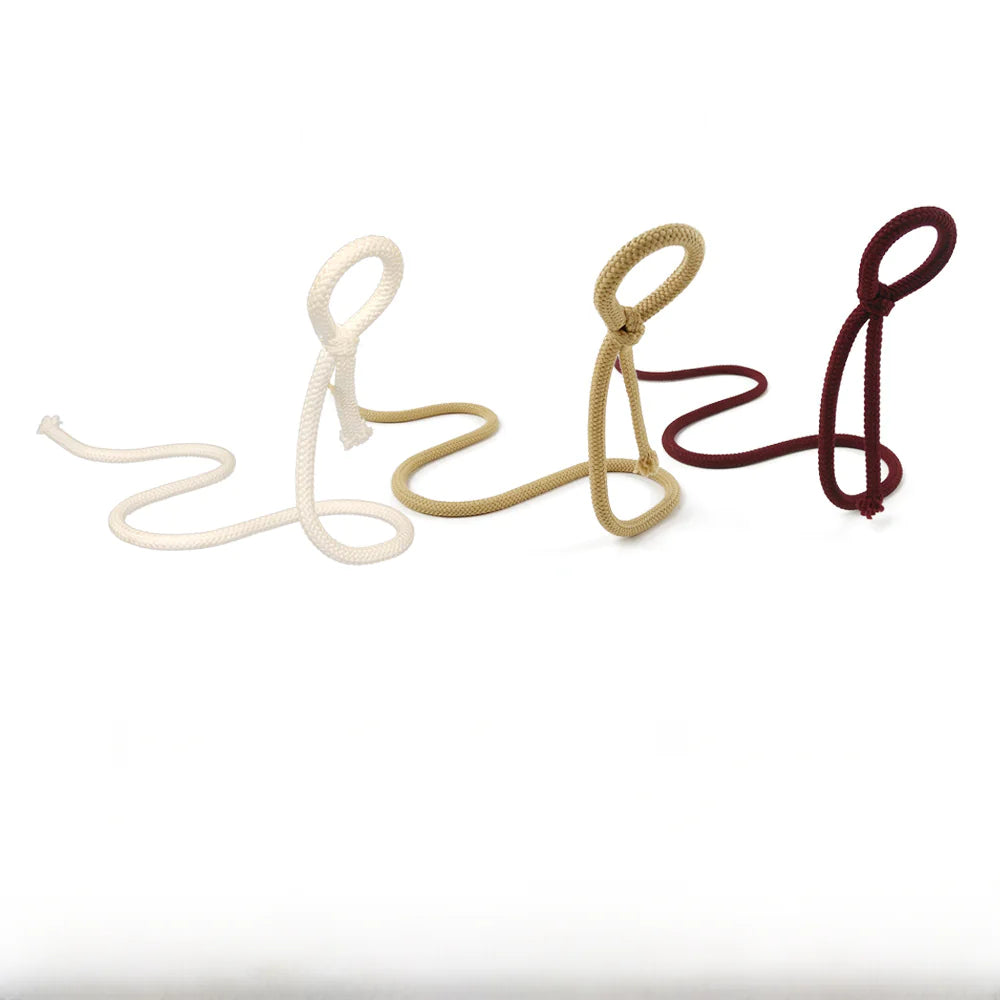 Chic Serpent Iron Wine Holder