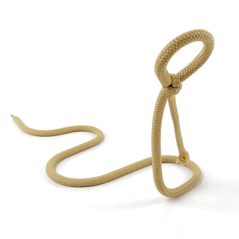 Chic Serpent Iron Wine Holder