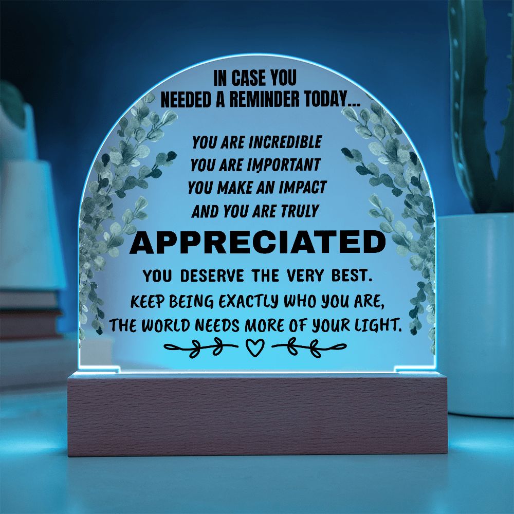 Inspirational Appreciation Acrylic Plaque – “You Are Appreciated” Motivational Desk Decor Gift