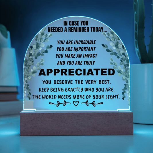 Inspirational Appreciation Acrylic Plaque – “You Are Appreciated” Motivational Desk Decor Gift