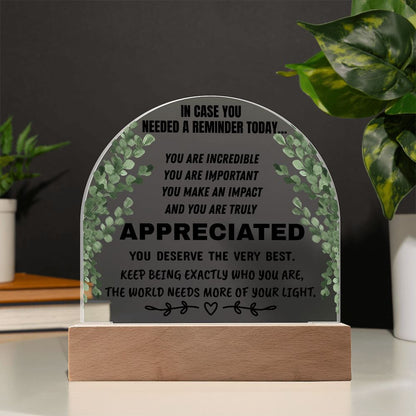 Inspirational Appreciation Acrylic Plaque – “You Are Appreciated” Motivational Desk Decor Gift