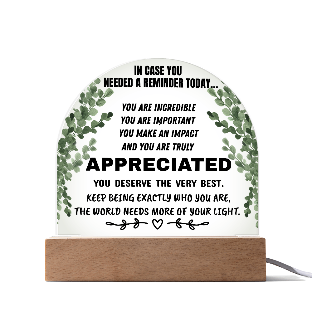 Inspirational Appreciation Acrylic Plaque – “You Are Appreciated” Motivational Desk Decor Gift
