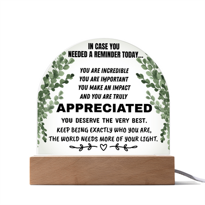 Inspirational Appreciation Acrylic Plaque – “You Are Appreciated” Motivational Desk Decor Gift