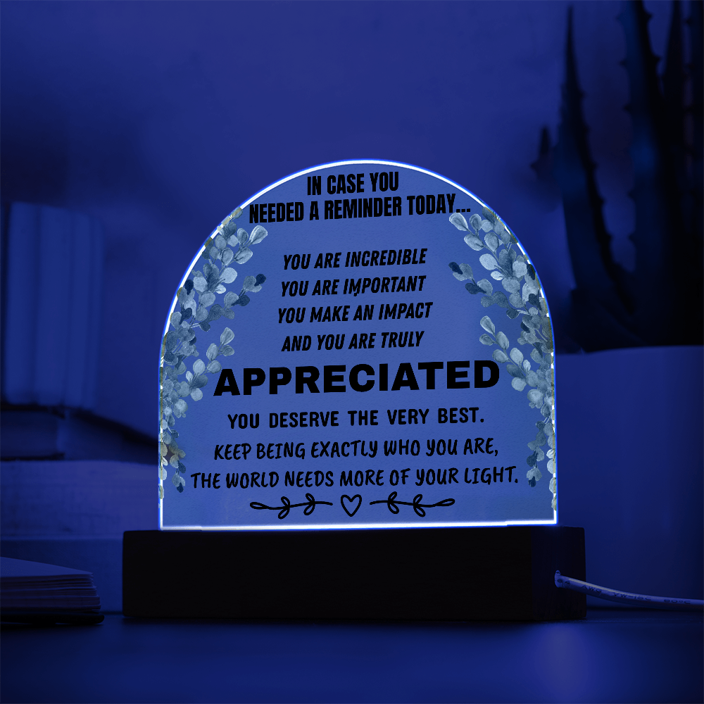 Inspirational Appreciation Acrylic Plaque – “You Are Appreciated” Motivational Desk Decor Gift
