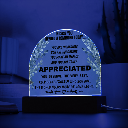 Inspirational Appreciation Acrylic Plaque – “You Are Appreciated” Motivational Desk Decor Gift