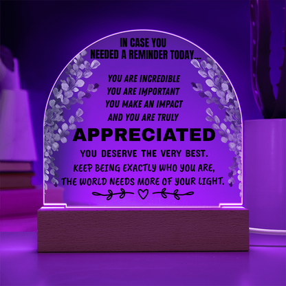 Inspirational Appreciation Acrylic Plaque – “You Are Appreciated” Motivational Desk Decor Gift