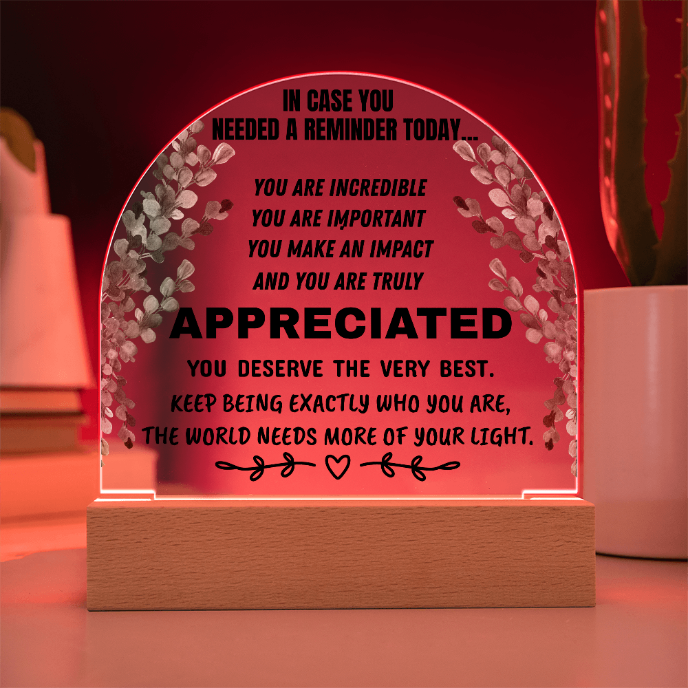 Inspirational Appreciation Acrylic Plaque – “You Are Appreciated” Motivational Desk Decor Gift
