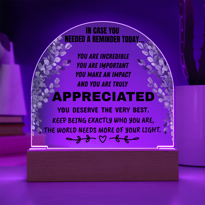 Inspirational Appreciation Acrylic Plaque – “You Are Appreciated” Motivational Desk Decor Gift