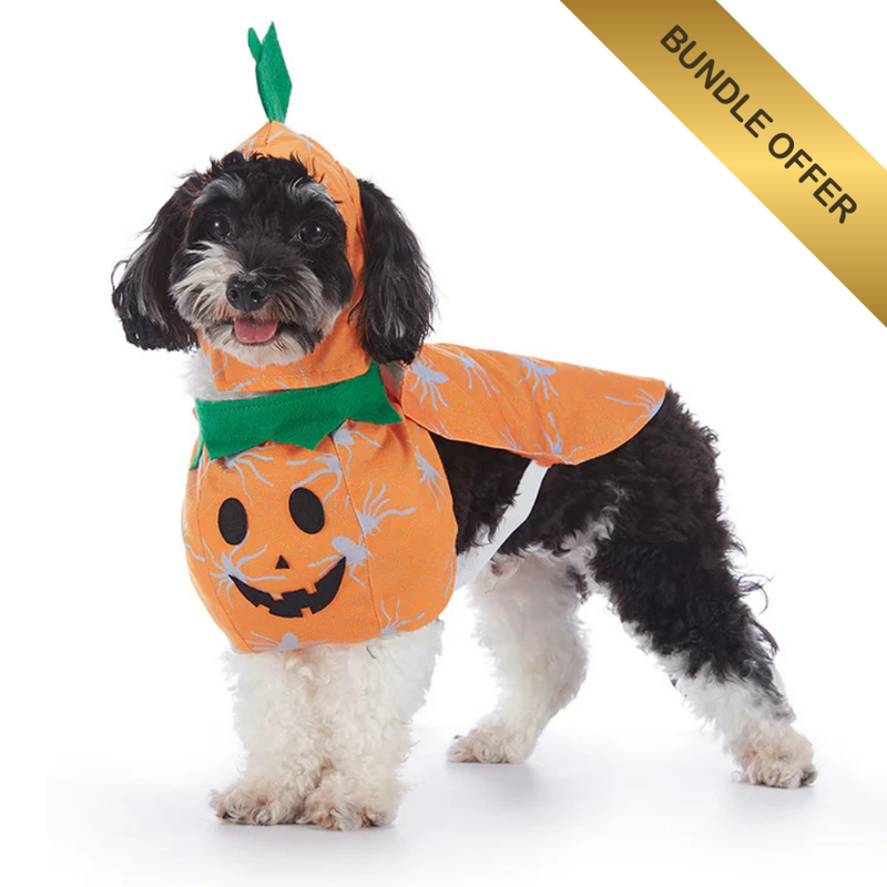 Halloween Dog Costumes – Cute & Comfortable Pet Outfits for Trick-or-Treating & Parties