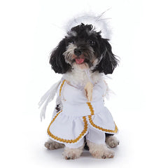 Halloween Dog Costumes – Cute & Comfortable Pet Outfits for Trick-or-Treating & Parties