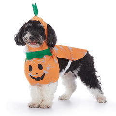 Halloween Dog Costumes – Cute & Comfortable Pet Outfits for Trick-or-Treating & Parties