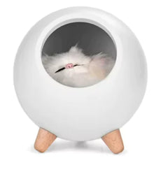 USB-Powered Kitten Lamp