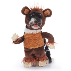 Halloween Dog Costumes – Cute & Comfortable Pet Outfits for Trick-or-Treating & Parties