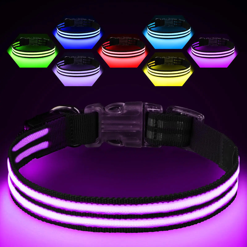 IllumiCollar Rechargeable LED Dog Collar